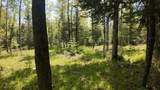Lt1 Federal Forest Road - Photo 89