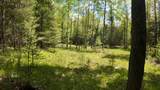 Lt1 Federal Forest Road - Photo 90