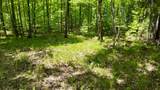 Lt1 Federal Forest Road - Photo 92