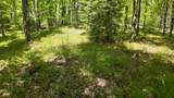 Lt1 Federal Forest Road - Photo 93