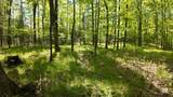 Lt1 Federal Forest Road - Photo 94