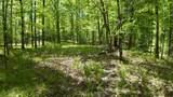 Lt1 Federal Forest Road - Photo 95