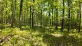 Lt1 Federal Forest Road - Photo 96