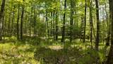 Lt1 Federal Forest Road - Photo 97