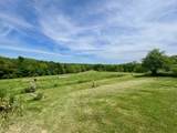 14026 Eagle Ridge Rd - Photo 4