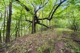 120 AC County Highway E - Photo 37