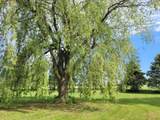 8201 Scheffler Rd - Photo 20