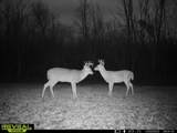 Lt13 Kara Ln - Photo 10