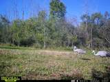 Lt13 Kara Ln - Photo 11