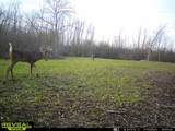 Lt13 Kara Ln - Photo 12