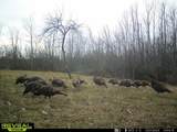 Lt13 Kara Ln - Photo 13