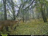 Lt13 Kara Ln - Photo 14