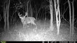 Lt13 Kara Ln - Photo 9