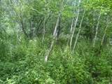 0 Dopp Rd - Photo 29