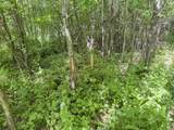 0 Dopp Rd - Photo 30