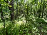 0 Dopp Rd - Photo 52