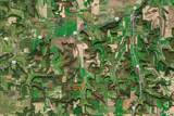 Lt3 Eli Valley Rd - Photo 15