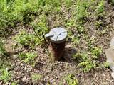 1787 Strawberry Rd - Photo 13