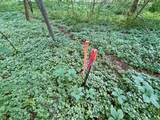 1787 Strawberry Rd - Photo 15