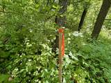 1787 Strawberry Rd - Photo 20