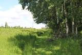 Lt1 5 Mile Rd - Photo 11
