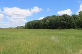 Lt1 5 Mile Rd - Photo 12