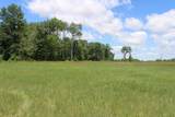 Lt1 5 Mile Rd - Photo 14