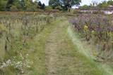 Lt2 Rolling Hills Dr - Photo 3