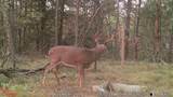 00 Lake Rd - Photo 2