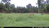 00 Lake Rd - Photo 3