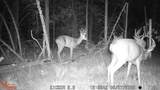00 Lake Rd - Photo 30