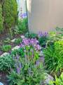 1620 St Andrews Dr - Photo 66