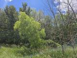 Lt1 Tamarack Rd - Photo 12