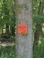 Lt1 Tamarack Rd - Photo 13