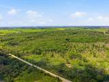 Lt1 Tamarack Rd - Photo 6
