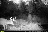 Lt2 Eli Valley Rd - Photo 31