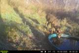 Lt2 Eli Valley Rd - Photo 32