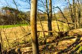 Lt2 Eli Valley Rd - Photo 42