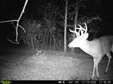 9493 Michael Ct - Photo 6