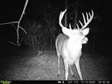 9493 Michael Ct - Photo 7