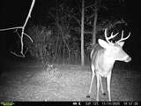 9493 Michael Ct - Photo 8