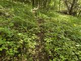 E12950 County Road D - Photo 11