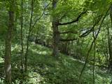 E12950 County Road D - Photo 28