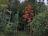 CTY Shawano Line Rd - Photo 10