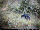 CTY Shawano Line Rd - Photo 11