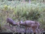 CTY Shawano Line Rd - Photo 4