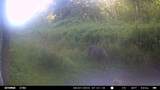 CTY Shawano Line Rd - Photo 8