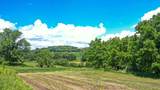 20860 Grosbeak Rd - Photo 7