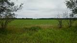Lt1 Peshtigo River Rd - Photo 17