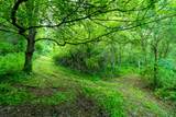 Lt0 Smyth Hollow Rd - Photo 20